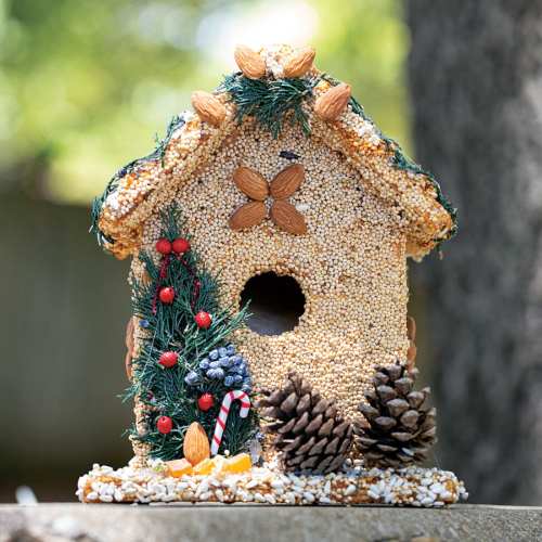 Juniper Bed and Breakfast Edible Bird House